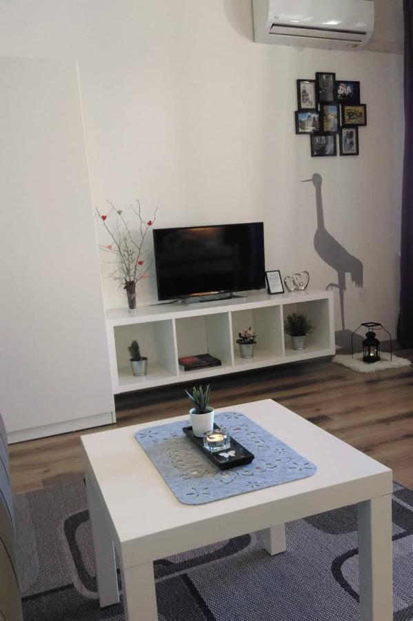 Studio Apartman Zdral ダルバル エクステリア 写真